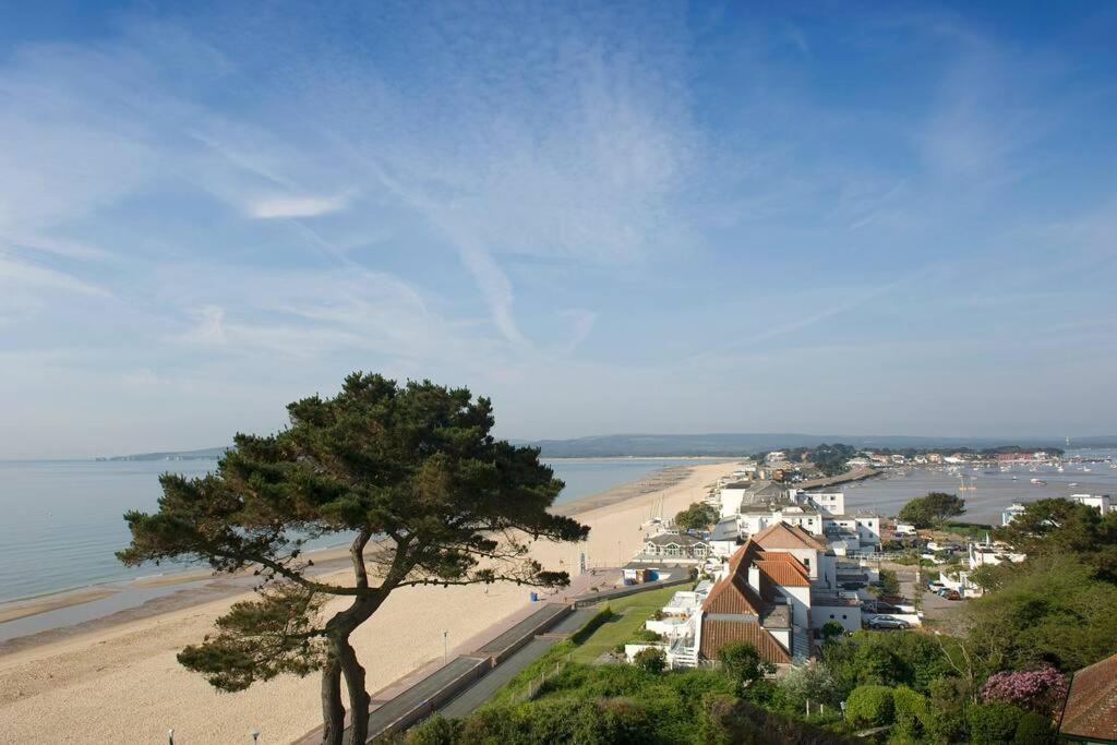 Bournecoast: Lovely Annex With Patio Nr Beach-5286 Bournemouth Dış mekan fotoğraf